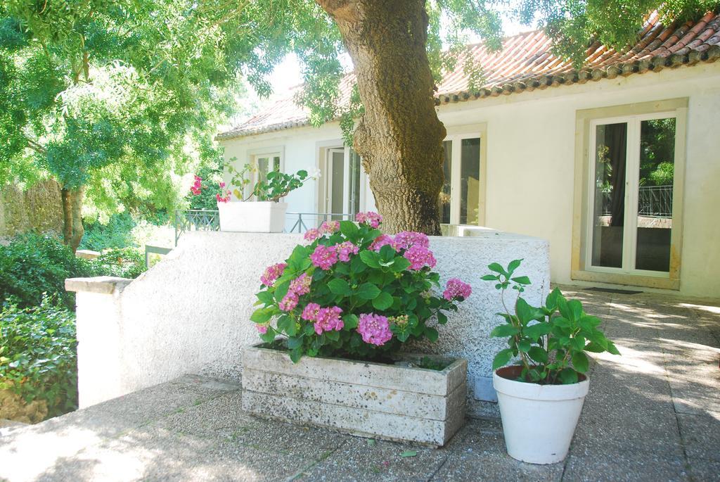 Sintra Center Guest House Escape To Nature 外观 照片