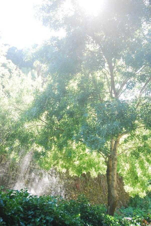 Sintra Center Guest House Escape To Nature 外观 照片