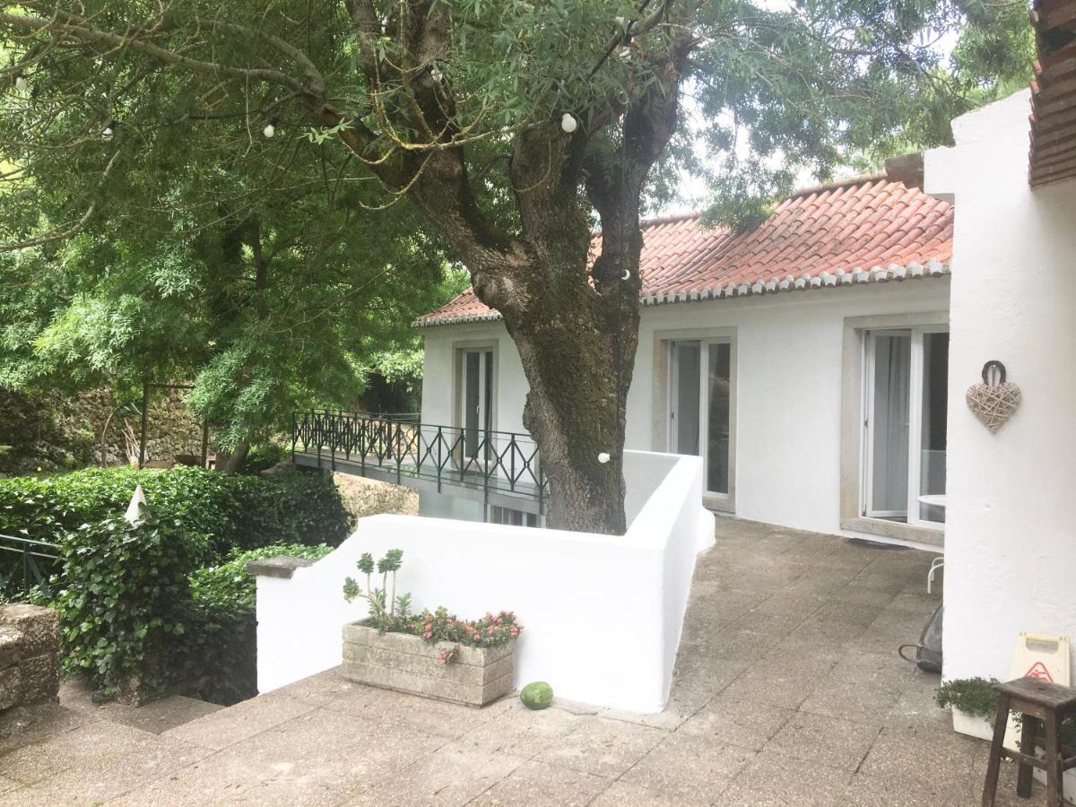 Sintra Center Guest House Escape To Nature 外观 照片