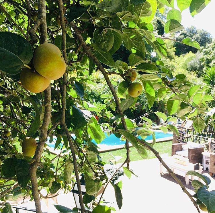 Sintra Center Guest House Escape To Nature 外观 照片