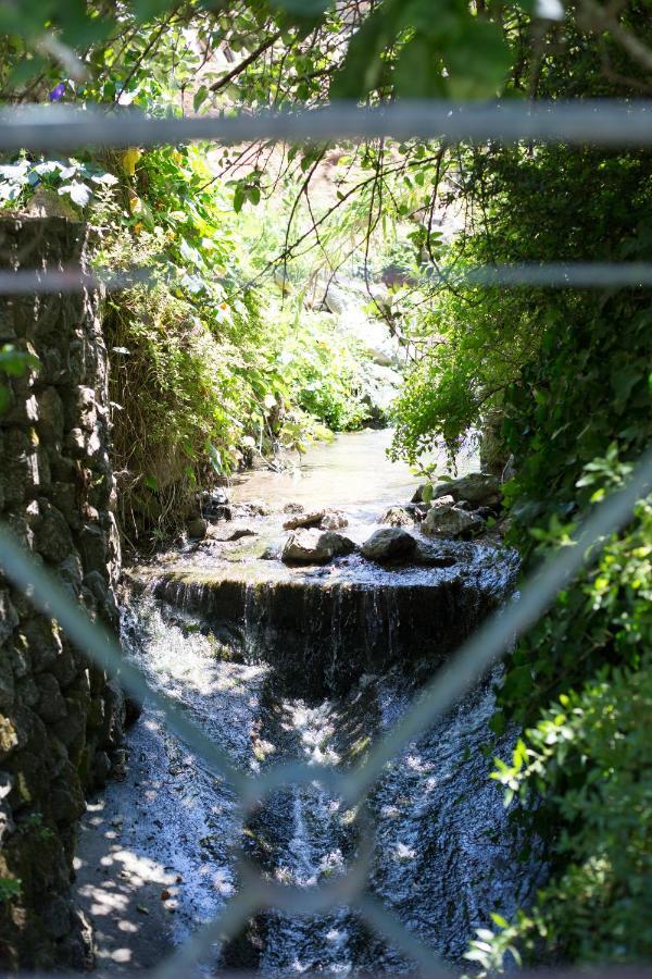 Sintra Center Guest House Escape To Nature 外观 照片