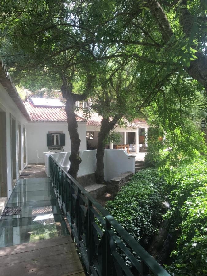 Sintra Center Guest House Escape To Nature 外观 照片
