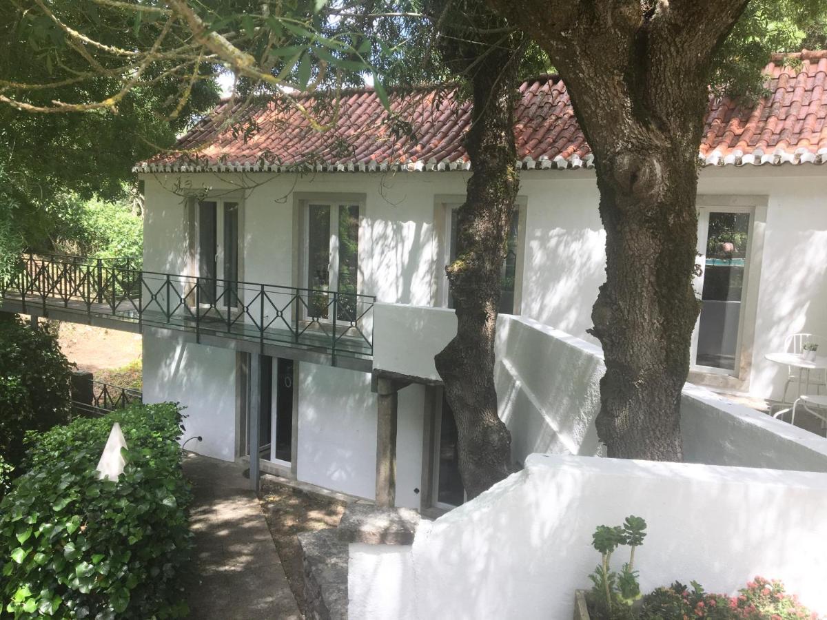 Sintra Center Guest House Escape To Nature 外观 照片